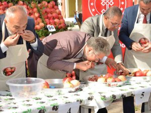 3. Geleneksel Nar Şenliği’nde Renkli Görüntüler Oluştu