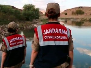 Siirt’te Jandarma Kaçak Avcılara Yönelik Denetimlere Devam Ediyor