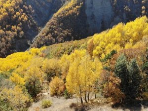 Erzincan’da Sonbaharda Renk Cümbüşü