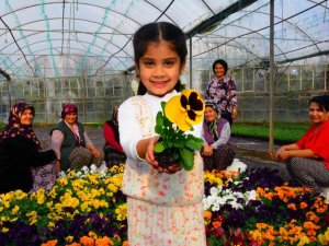 Kooperatifler Tek Çatı Altında Toplanıyor