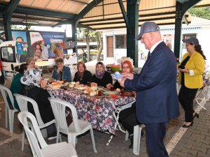 Karesi’de Mavi Konteyır Dönemi