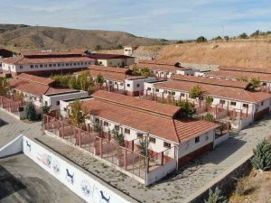 Geçici Hayvan Bakımevi Rehabilitasyon Merkezi’nde 5 Yılda 8 Bin Hayvan Tedavi Edildi