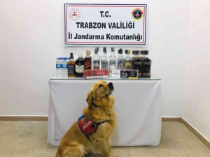 Jandarma Kaçakçılara Göz Açtırmıyor