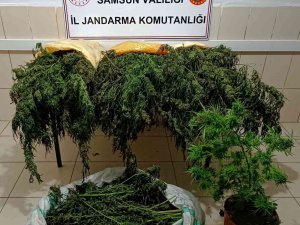 Samsun’da 15 Kilo Kubar Esrar Ele Geçirildi