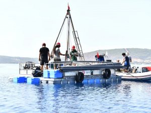 İ̇zmir Körfezi’ndeki Faylar Mercek Altında