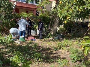 Ceviz Ağacından Düşen Şahıs Hayatını Kaybetti