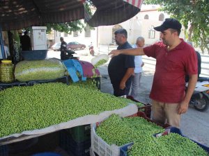 Kilis’te Yerli Sofralık Zeytin Tezgahlarda Yerini Aldı