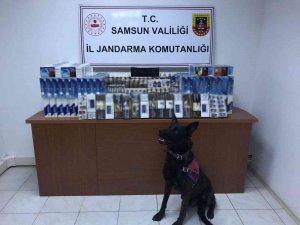 Samsun’da Araçta 60 Bin Dal Makaron Ele Geçirildi