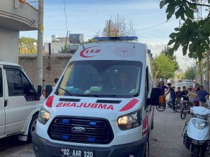 Halı Silkelerken Beton Zemine Çakıldı