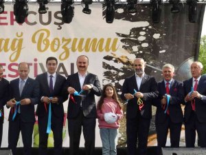 Gercüş’te Bağ Bozumu Festivali Düzenlendi