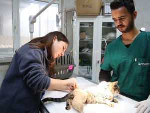 Bursa’da Tedavi Gören Can Dostlara ‘Koruyucu Aileler’ Aranıyor