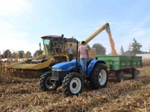 Lise Öğrencileri Ektikleri Mısırın Hasadını Yaptı