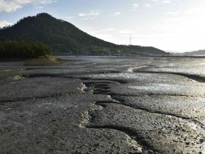 Ekoturizm Alanında Dünyada En Başarılı Güney Kore Örnekleri