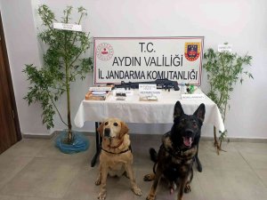 Bağ Evine Yapılan Baskında 2 Kişi Yakalandı
