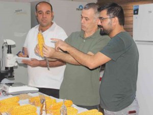 Şanlıurfa’da Yerli Doğal Gübre Hamlesi