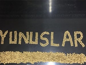Mersin’de ’Yunuslar’ Bin 900 Adet Uyuşturucu Hap Ele Geçirdi