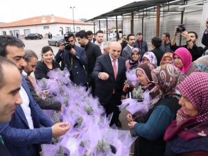 Keçiören Belediye Başkanı Altınok, Çiftçi Kadınları Çiçeklerle Karşıladı