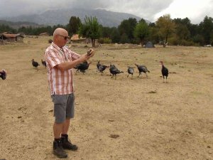 Antalya’nın ’Vahşi Güzelliği’ Yılkı Atları Turistlerin İlgi Odağı Oldu