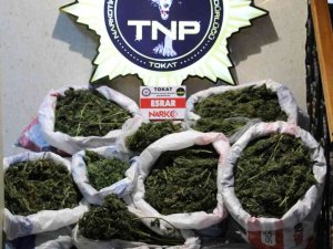 Tokat’ta 12 Kilo 580 Gram Uyuşturucu Ele Geçirildi: 1kişi Tutuklandı
