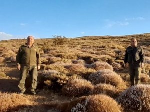 Elazığ’da Yasadışı Avcılık Yapan 1 Kişiye İdari İşlem Uygulandı