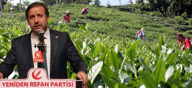 Çolak’tan Çay Fiyatına Sert Tepki: Çaya Yine Sadaka Gibi Fiyat