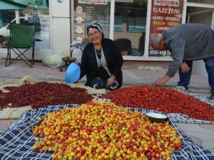Tercan Dağlarında Yetişen Yaban Meyveleri Pazar Tezğahlarını Süslüyor