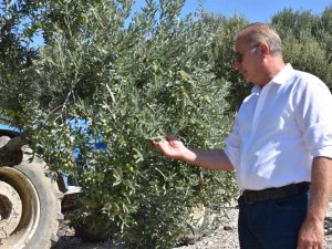 Didim Belediyesi Türkiye’de Bir İlke İmza Attı