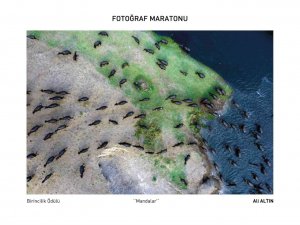 Fotoğrafçılar Maratonu’nda Ödüller Sahiplerini Buldu