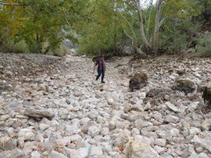 Antalya’da Üzümdere Irmağı Kurudu, Yavru Alabalıklar Telef Oldu