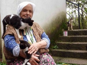 Çocuk Sevgisini Kedilerde Buldu