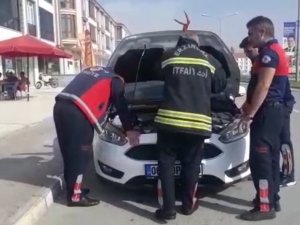 Aracın Motoruna Sıkışan Yavru Kediyi İtfaiye Kurtardı