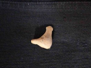 Assos’ta Çocuk Mezarlarına Hediye Olarak Konulan 2 Bin Yıllık Düdük Bulundu