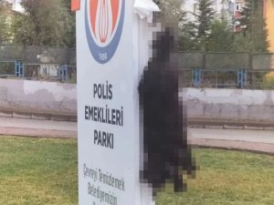 Sincan’da Ölü Bulunan Kedilerin Zehirlendiği İddia Edildi