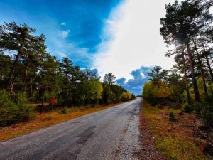 Akdağmadeni Ormanında Güz Renkleri Göz Kamaştırıyor