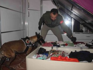 Şanlıurfa’da Uyuşturucu Operasyonu: 40 Gözaltı