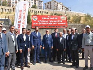 Şırnaklı Besicilere Koyun Desteği