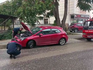 İ̇natçı Kedi Ekipleri Çok Uğraştırdı