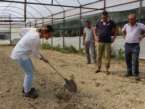 Büyükşehirden Serikli Çiftçilere Toprak Analiz Desteği
