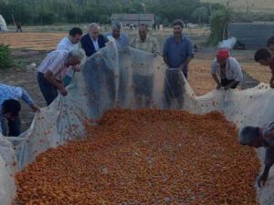 Ak Parti Şanlıurfa Milletvekillerinden Akçadağ’a Ziyaret