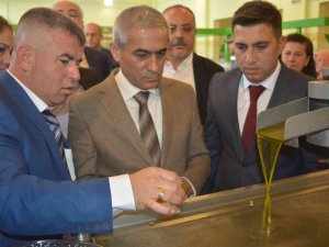 Aliağa, Sanayinin Yanında Tarımda Da Ülke Ekonomisine Katkı Sağlıyor