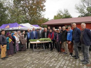 Atakum’dan Üreticiye 40 Bin Adet Sebze Fidesi