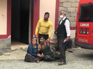 Küçük Nazgül, Foseptik Çukurunda Can Verdi