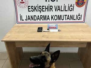 Jandarma Narkotik Köpeği İle Yapılan Operasyonda Uyuşturucu Madde Ele Geçrildi