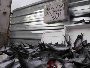 Vatandaş Palamut Stokluyor