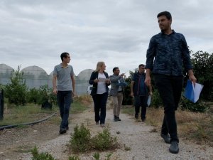 ‘En Güzel Avokado’ İçin Jüri Değerlendirmeleri Yapıldı