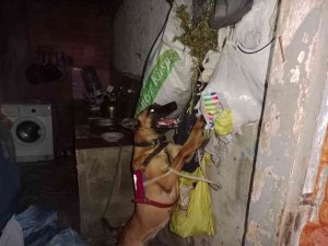 Jandarmadan ‘Skunk’ Operasyonu