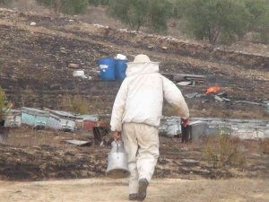 Antalya’da Arı Kovanları Alev Alev Yandı
