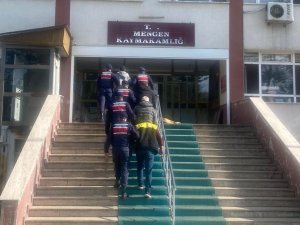 Bolu’da Kaçak Ağaç Kesimi Yapan 5 Kişi Yakalandı