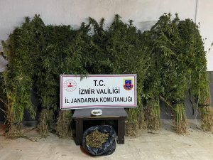İ̇zmir’in 4 İlçesinde Zehir Baskını: 14 Gözaltı