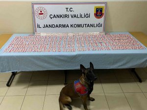 Çankırı’da Durdurulan Araçtan 2 Bin 310 Adet Sentetik Hap Ele Geçirildi: 3 Gözaltı